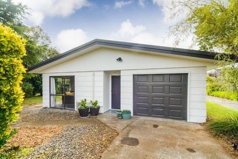 Photo of property in 183 Milson Line, Milson, Palmerston North, 4414