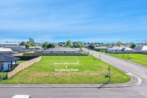 Photo of property in 60 Catherine Street, Tinwald, Ashburton, 7700