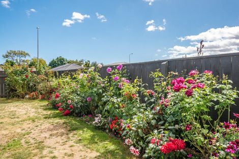 Photo of property in 24 Barry Curtis Place, Levin, 5510