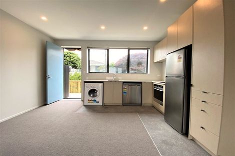 Photo of property in Aniva Terrace, 32 Ferguson Street, Newtown, Wellington, 6021