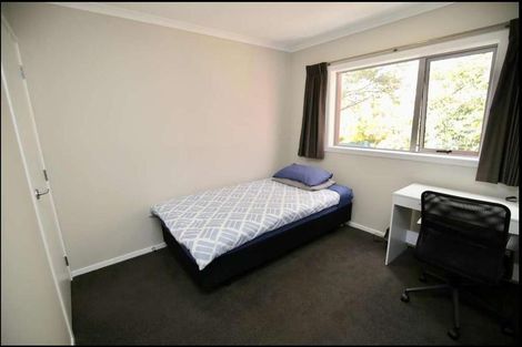 Photo of property in 16u2 Hammond Street, Hamilton Central, Hamilton, 3204