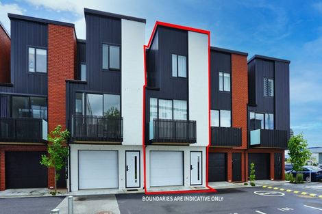 Photo of property in 216u6 Tristram Street, Hamilton Central, Hamilton, 3204