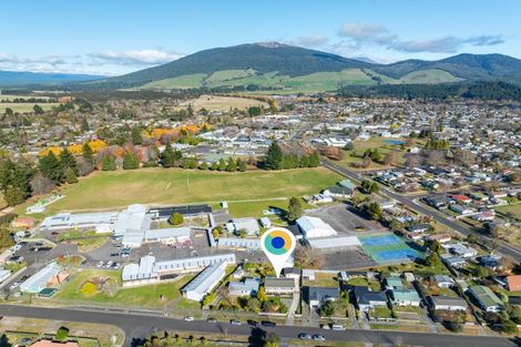 Photo of property in 14 Waipapa Road, Turangi, 3334