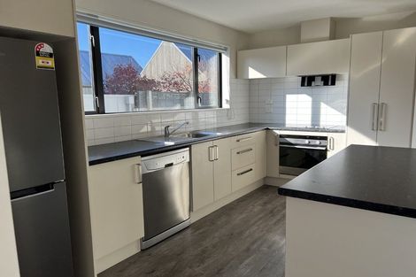 Photo of property in 78 Andover Street, Merivale, Christchurch, 8014
