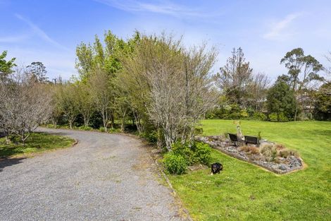 Photo of property in 39 Tarena Street, Mamaku, 3020