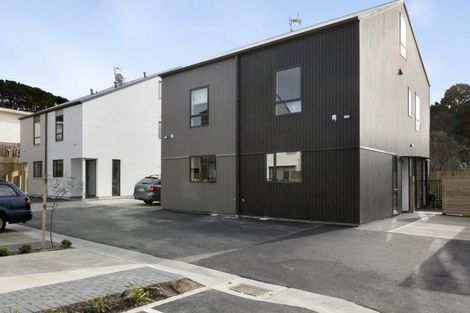 Photo of property in 11/124u Britomart Street, Berhampore, Wellington, 6023