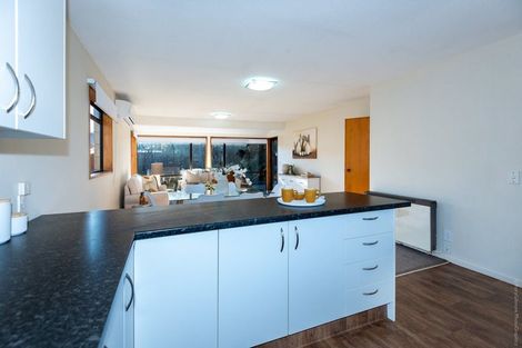 Photo of property in 61 Torrens Road, Hillmorton, Christchurch, 8024