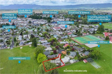 Photo of property in 17 Sylvan Place, Matamata, 3400