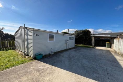 Photo of property in 73 Clyde Street, Hamilton East, Hamilton, 3216