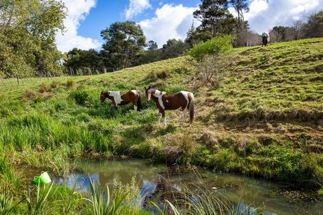 Photo of property in 49 Opoto Place, Kaukapakapa, 0873