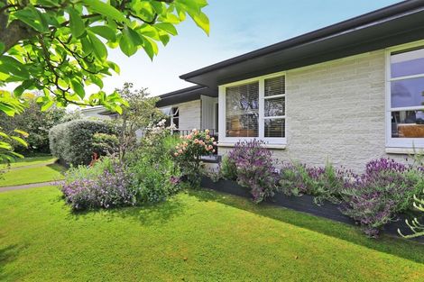 Photo of property in 15 Rakau Street, Havelock North, 4130