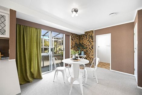 Photo of property in 17 Lancaster Street, Dinsdale, Hamilton, 3204