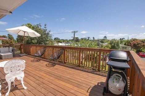 Photo of property in 57 Lupin Road, Otaki, 5512