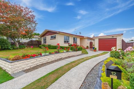 Photo of property in 12 Marlborough Place, Tokoroa, 3420