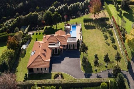 Photo of property in 88r Freeburn Road, Pyes Pa, Tauranga, 3112