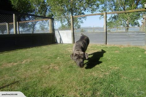 Photo of property in 349 Hauraki Road, Orongo, Thames, 3574