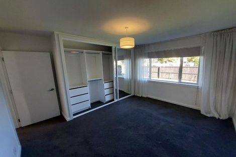 Photo of property in 41 Moreland Avenue, Papanui, Christchurch, 8053