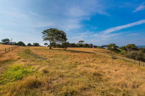 Photo of property in 81 Upper Wainui Road, Raglan, 3297