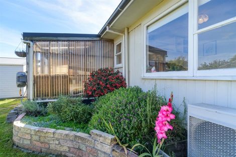 Photo of property in 28 Alexandra Street, Marton, 4710