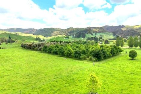 Photo of property in 111 Ellis Road, Otorohanga, 3974