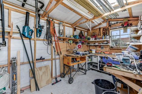 Photo of property in 46 Naylor Street, Hamilton East, Hamilton, 3216