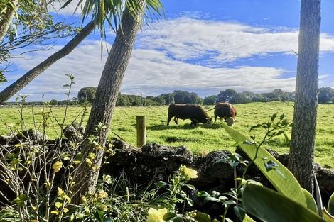 Photo of property in 121 Muir Avenue, Mangere Bridge, Auckland, 2022
