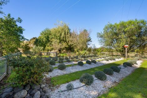Photo of property in 274 Northbank Road, Kaituna, Blenheim, 7275