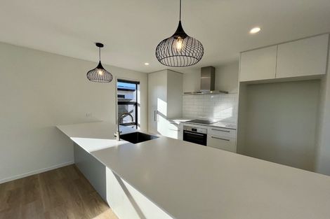 Photo of property in 14 Larch Drive, Rolleston, 7614