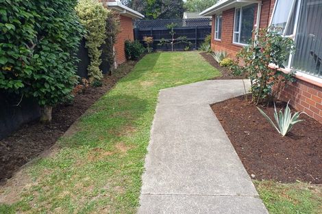 Photo of property in 20 Hoani Street, Papanui, Christchurch, 8053