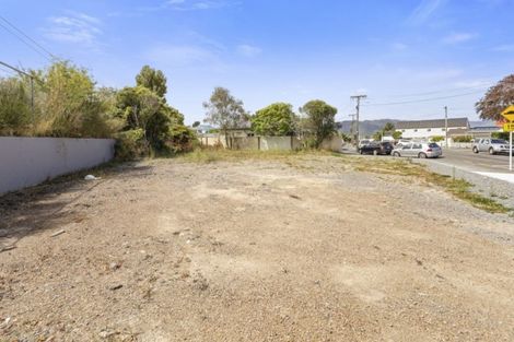 Photo of property in 39 Riddlers Crescent, Petone, Lower Hutt, 5012