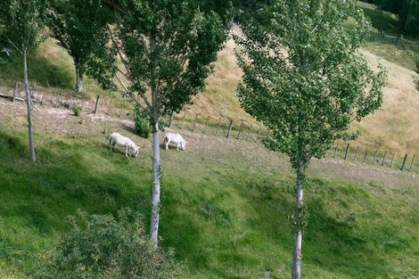 Photo of property in 96 Lane Road, Havelock North, 4130