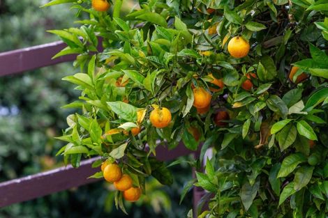 Photo of property in 105 Marie Place, Thames, 3500