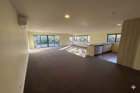 Photo of property in 11 Braddon Street, Addington, Christchurch, 8024