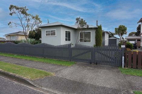 Photo of property in 123-125 Tiro Tiro Road, Levin, 5510