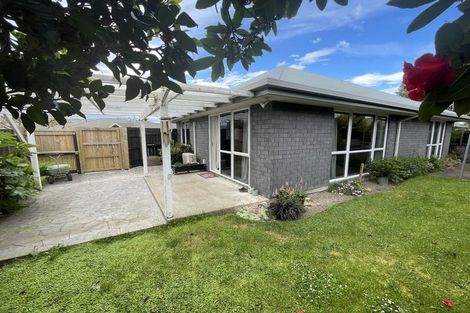 Photo of property in 7a Jenkins Street, Kaiapoi, 7630