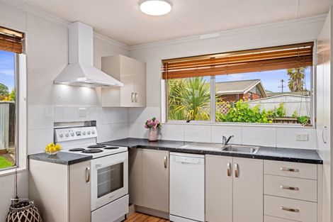 Photo of property in 6a Brewer Street, Blenheim, 7201