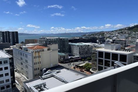 Photo of property in Soho Apartments, 406/74 Taranaki Street, Te Aro, Wellington, 6011
