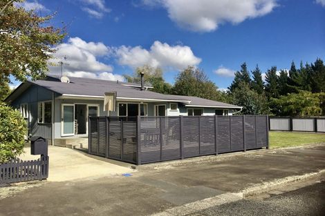 Photo of property in 29 Hunter Street, Dannevirke, 4930