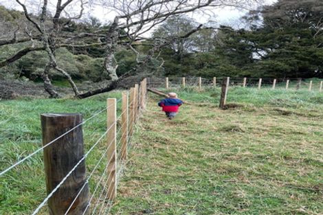 Photo of property in 147 Kiritaki Road, Dannevirke, 4972