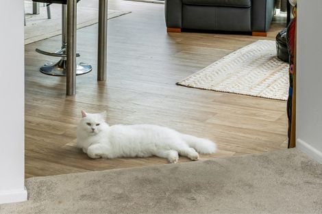 Photo of property in 5 Springwater Vale, Unsworth Heights, Auckland, 0632