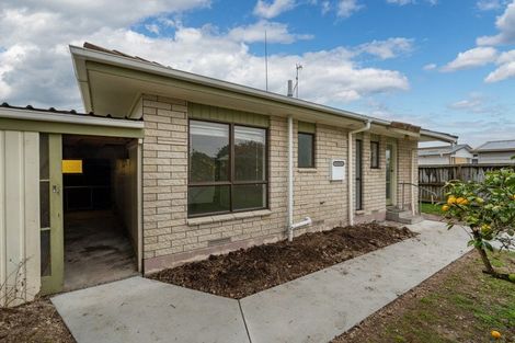 Photo of property in 52 Ascot Road, Chartwell, Hamilton, 3210