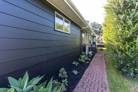Photo of property in 113 Moana Anu Anu Avenue, Whangamata, 3620