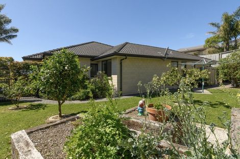 Photo of property in 56 Saint Michaels Avenue, Bethlehem, Tauranga, 3110