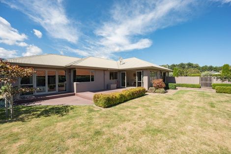 Photo of property in 13 Templemore Drive, Richmond, 7020
