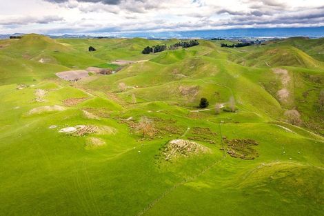 Photo of property in 226 Ongaonga Road, Waipawa, 4272