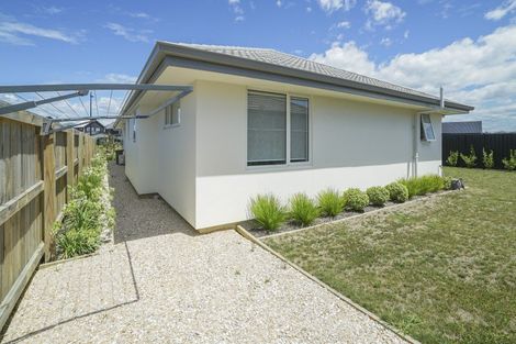 Photo of property in 46 Borck Avenue, Appleby, Richmond, 7020