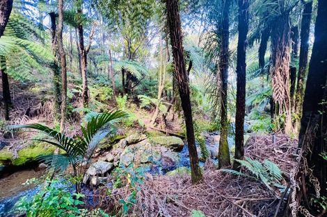 Photo of property in 600 Buffalo Road, Coromandel, 3506