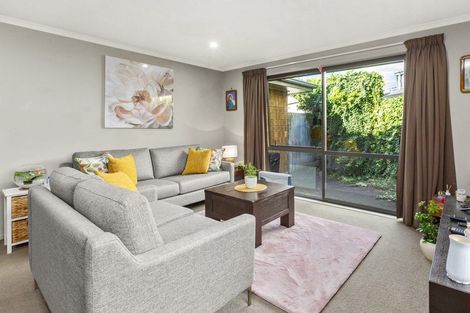 Photo of property in 31u9 Jones Crescent, Melville, Hamilton, 3206