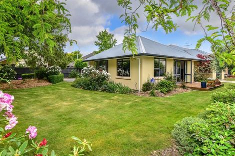 Photo of property in 6 The Mews, Lincoln, 7608