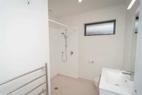 Photo of property in 24a Millpond Lane, Lincoln, 7608